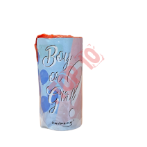 Baby Shower/Gender reveal party 