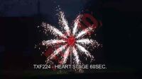 TXF224 SERCE + FONTANNY 60 sek.