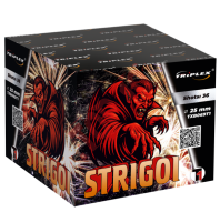 TXB069T1 BATERIA STRIGOI T1 36S 1"