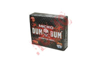 Dum Bum Micro P2D F2 1/25